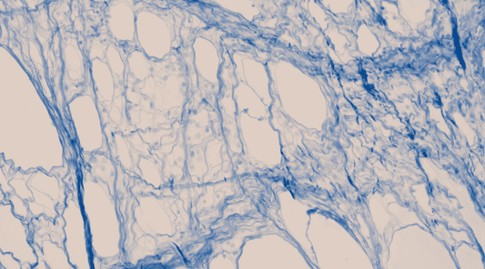 Mikroskopische Aufnahme von Fasziengewebe, gefärbt in Blau.