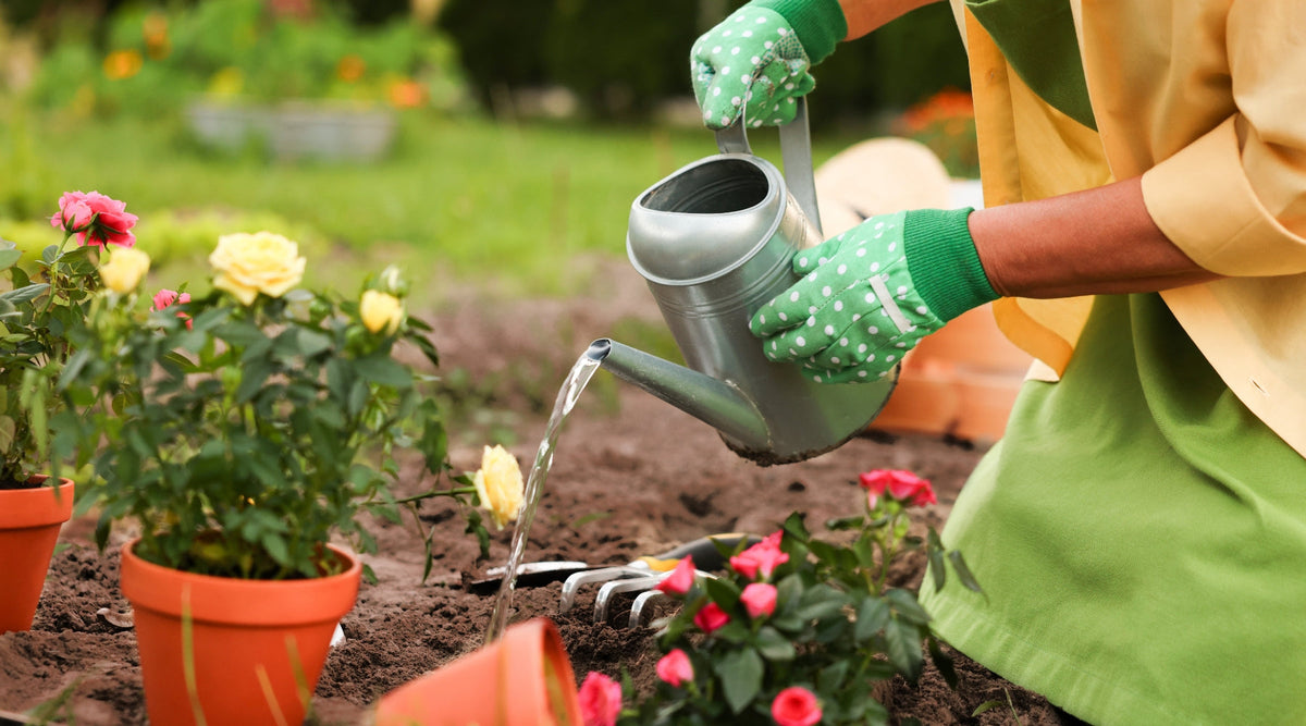 Tipps für Gartenarbeit ohne Rückenschmerzen