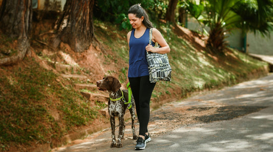 Frau geht mit ihrem Hund im Park spazieren