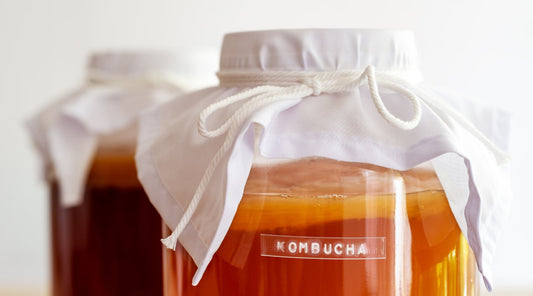 Fermentierter Kombucha-Tee in großen Gläsern mit Tuchabdeckung