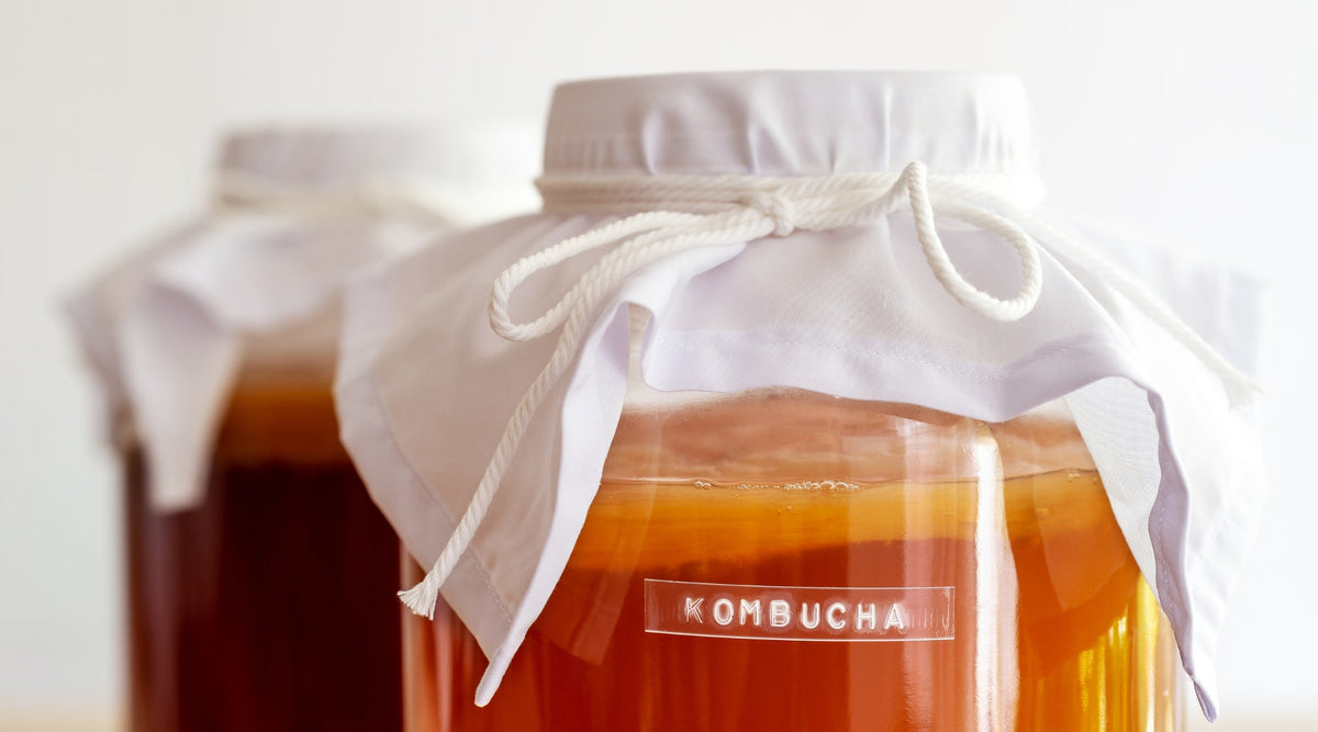 Ist Kombucha gut für den Darm?