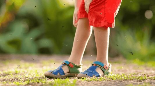 Kinderbeine mit roten Shorts und Sandalen, umgeben von zahlreichen Mücken im Gras – typischer Sommermoment mit erhöhter Stichgefahr.