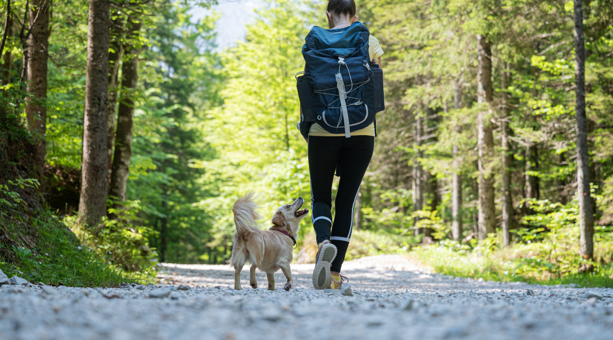 Rückenschonend wandern: Rucksack richtig packen