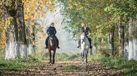 Zwei Reiterinnen reiten Pferde auf Waldweg im Herbst