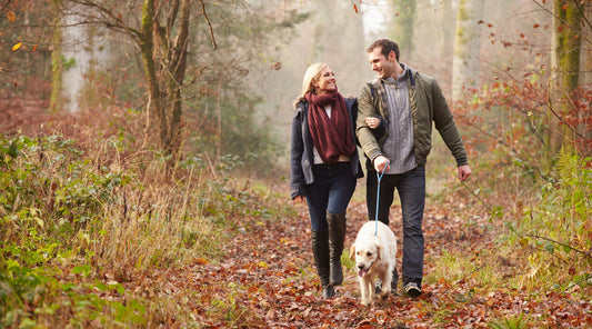 Paar spaziert mit Hund durch herbstlichen Waldweg