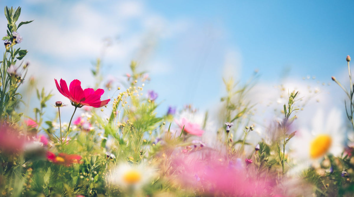 Tipps für Dein Training im Frühling